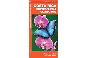 Costa Rica Butterflies & Pollinators: A Folding Pocket Guide to Familiar Species
