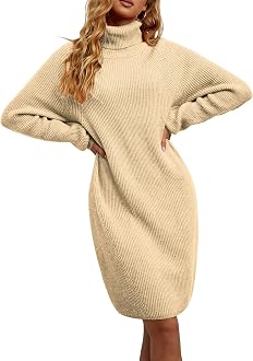 Womens Winter Turtleneck Sweater Dress 