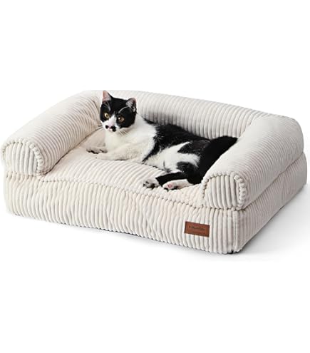 HarBin-Star Lit Pour Chien Et Chat En Bois, Surélevé Et Portable, Massif, Amovible Et Lavable, Pour Toutes Les Saisons, Chiots Et Chats 79x55x30cm