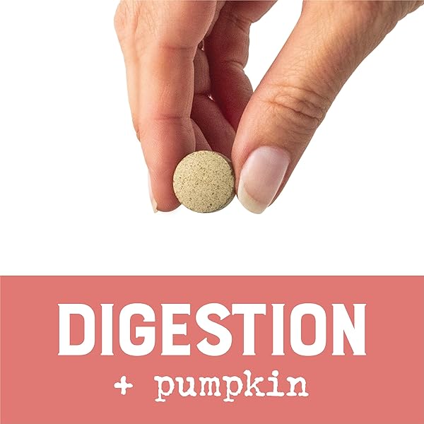 EVERROOT DOG SUPPLEMENTS POWERED BY PURINA DIGESTION CHEWABLE TABLETS WITH PUMPKIN – 4.23 OZ. CANISTER