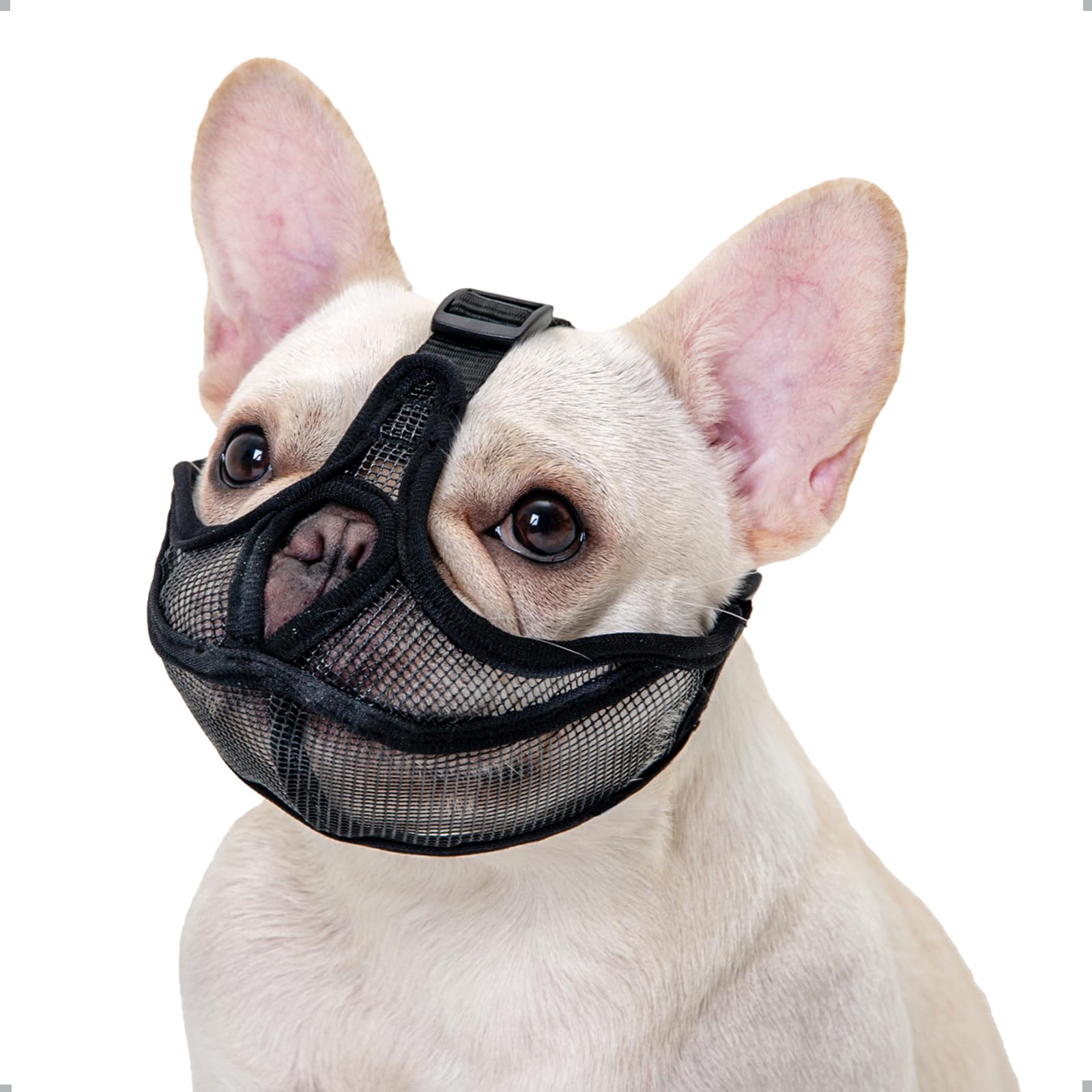 French Bulldog Muzzle,Won’t Cover Forehead Dog Muzzle for Short Snout Dog,Adjustable Breathe Mesh, Anti Bitting Chewing Barking (L,Black)