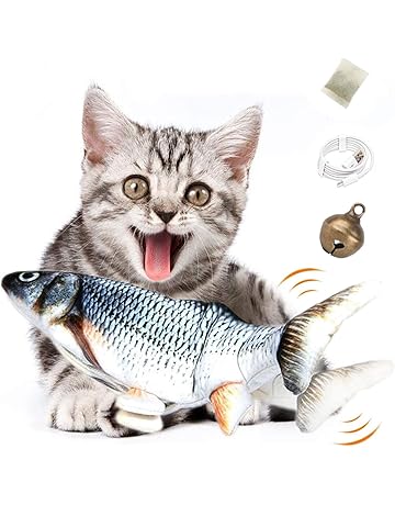 Amazon Ca Jouets A L Herbe A Chat Animalerie