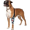 Dog Front Leg Brace for Canine Elbow and Shoulder Support, Elbow Hygroma Dysplasia Dislocation, Reflective Dog Recovery Suit Taper Collar Alternative, Pet Wounds Prevent Licking, XL