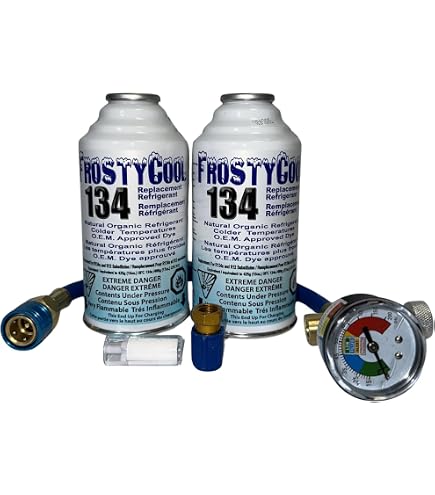 Errecom Extreme Ultra, Leak Stop for Vehicle A/C Systems, Includes