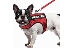 FAYOGOO Service Dog Vest for Small Dogs - Air Mesh Breathble Emotional Support Animal Vest with DIY Removable Patches - Puppy Harness and Leash Set Adjustable Neck and Chest