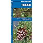 Trees: A Folding Pocket Guide to Familiar North American Plants (Wildlife and Nature Identification)