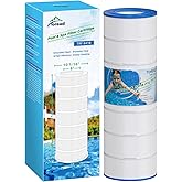 TOREAD Pool Filter Replaces Pentair Clean and Clear 200, CC200, PAP200-4, PAP200, C-9419, FC-0688, Ultral-C5, PP-C5, R173217, 59054400, Aladdin 29902, Baleen AK-8005, 1 Pack