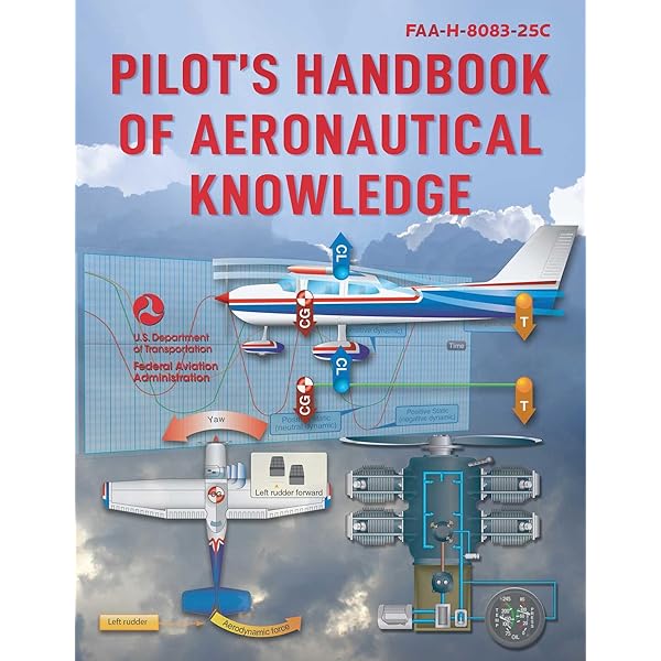 Rod Machado's Private Pilot Handbook: The Ultimate Private Pilot