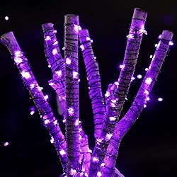 Halloween Purple Fairy String Lights: 12 Pack 7 Ft