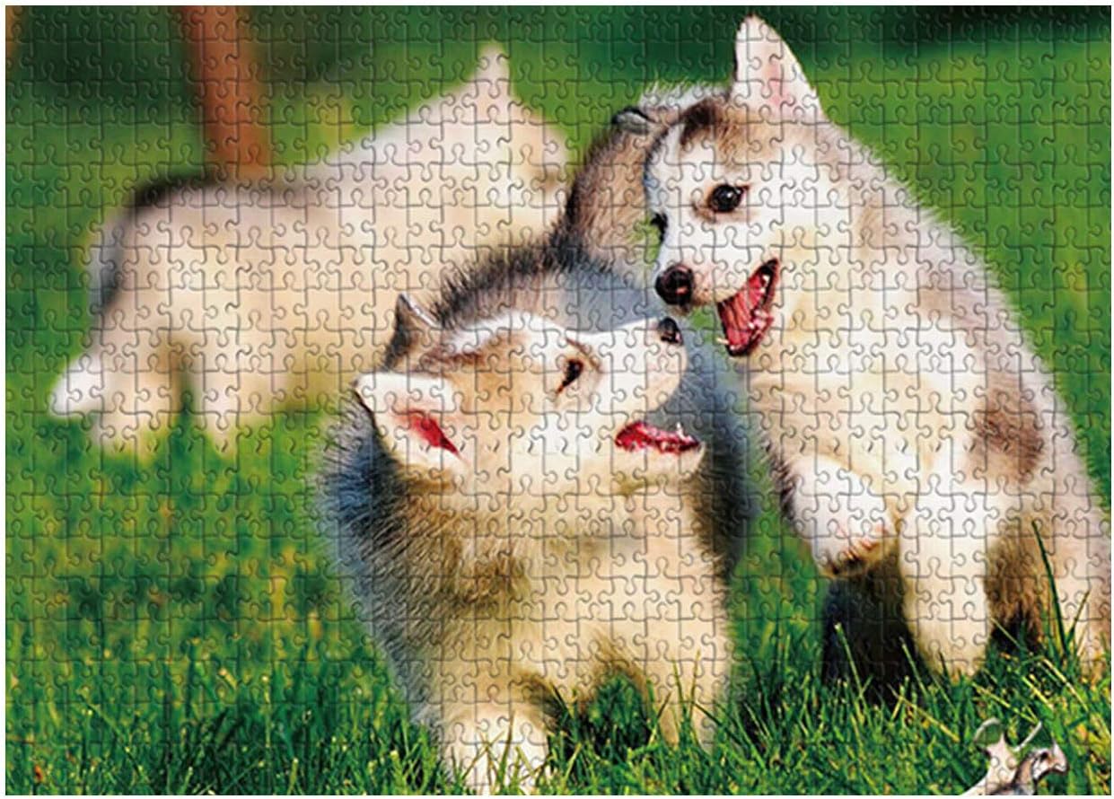 Jiannan 1000 Pieces Jigsaw Puzzles for Adult PuzzleHusky,Educational