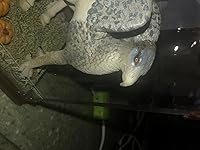 Review Image by Taylor Reece