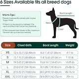 Kuoser Recovery Suit for Dogs Post-Operative Purple Breathable 6 Sizes view 2