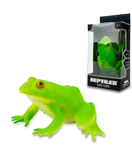 Amazon.com: ValeforToy Mini Rubber Frog Sets, Super Stretchy TPR