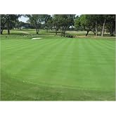 Creeping BentGrass Seeds, 5 Pounds