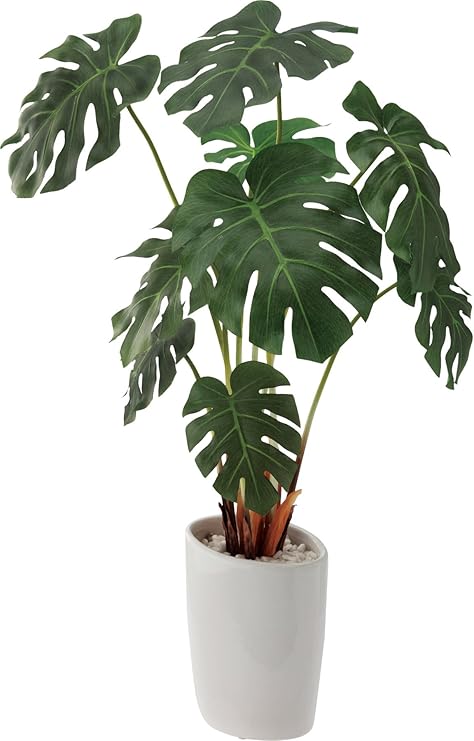 Amazon ポピー 観葉植物の造花 ロングモンステラオーバルポット 造花 オンライン通販