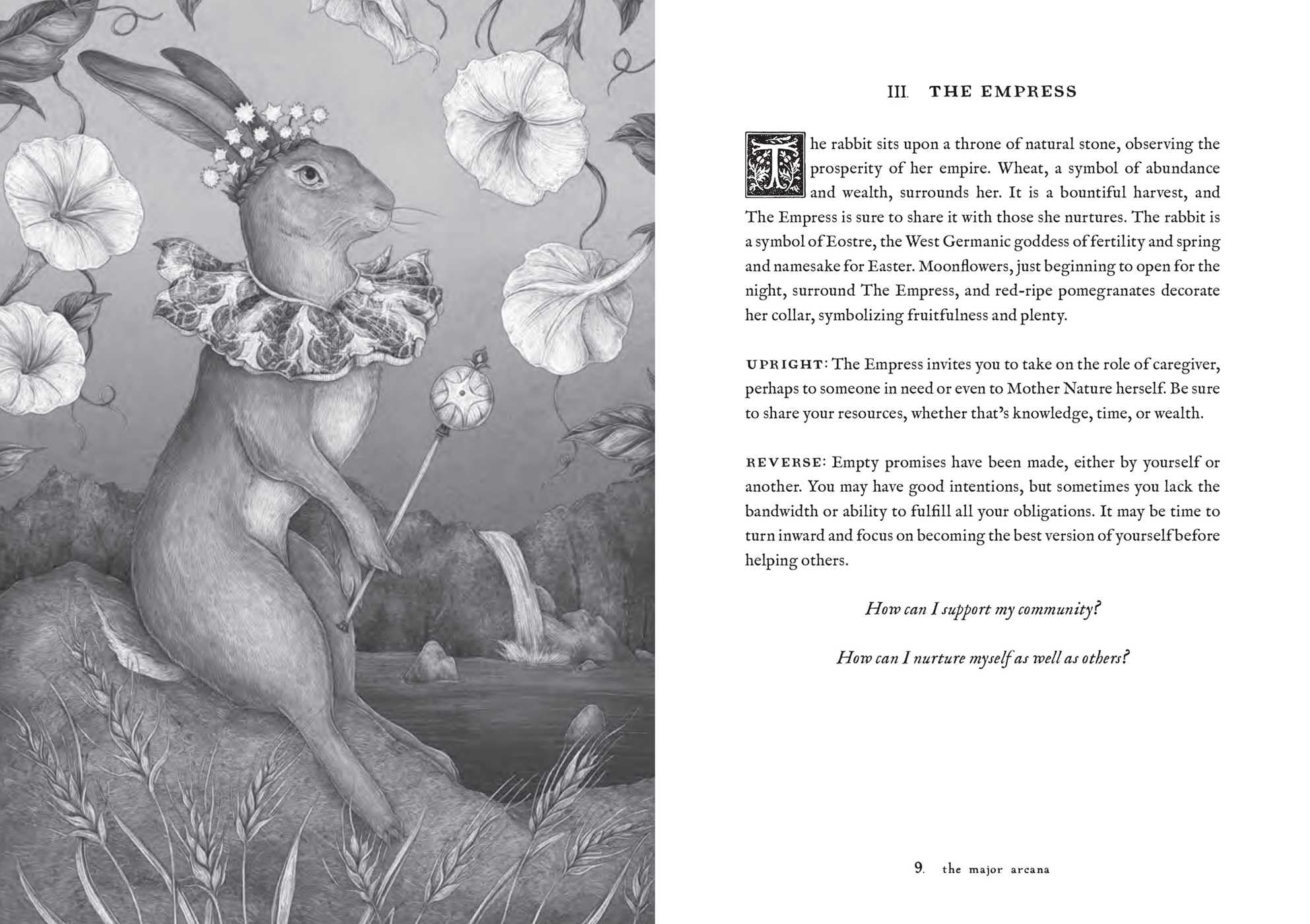 Tarot of the Woodland Wardens: 78-Card Deck & Guidebook Tarot of the Woodland Wardens: 78-Card Deck & Guidebook Product Bundle