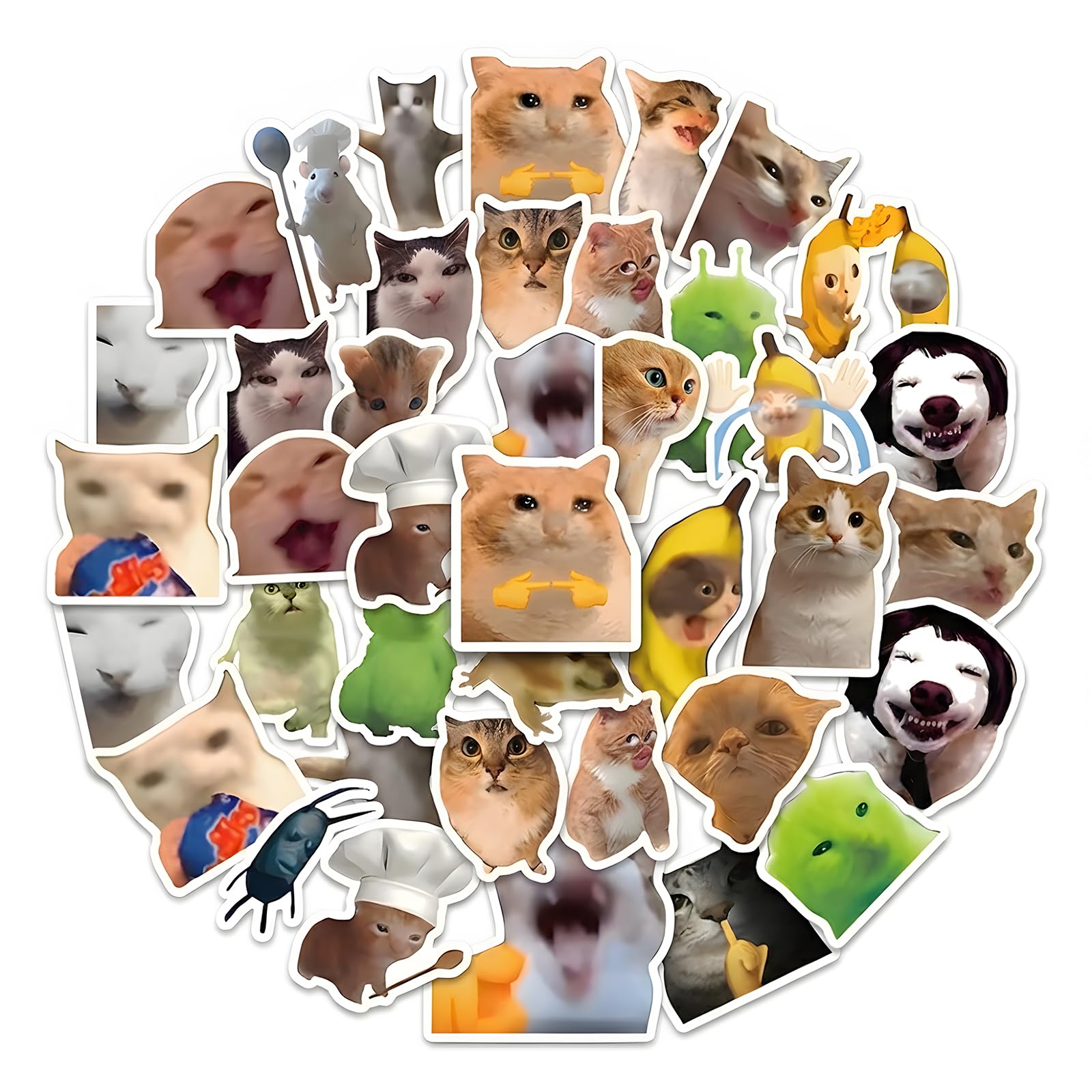 Photo 1 of 1000 PCS Cat Meme Stickers, Funny Cat Stickers and Cute Cat Stickers,Meme Cat Stickers in 2 Rolls, Animal Meme Stickers for Personal Use and Creative Projects