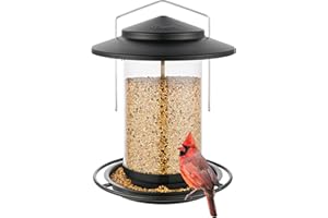iBorn Metal Bird Feeder for Outside Hanging,Wild Bird Feeders for Cardinal,18cm Large Roof&Tray Black 6 Port (Seed is not Included)