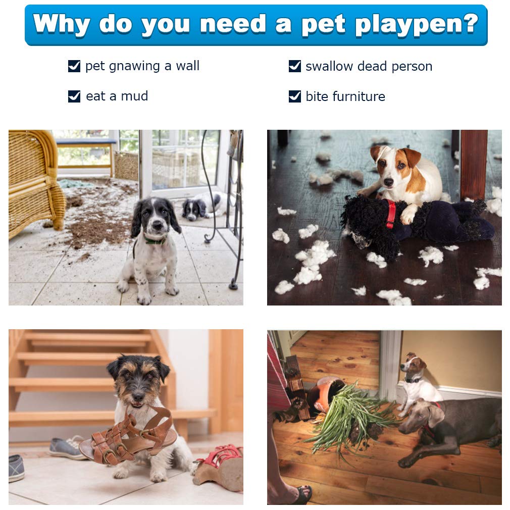 https://images-na.ssl-images-amazon.com/images/I/712EnQRE5wL.jpg