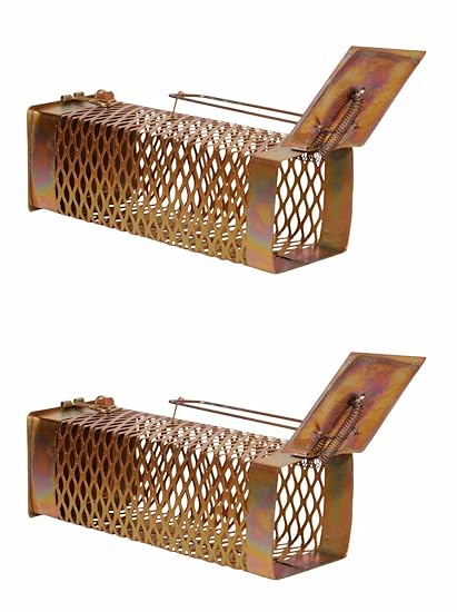 Truvic Iron Rat Trap Cage Set of 2 (D)