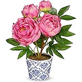 Briful Faux Peony Flowers in Blue and White Ceramic Pot – 13.8" Realistic Silk Peonies Artificial Peony Floral Arrangement Fake Potted Peony Flowers for Home Office Room Desk Shelf Decoration(Pink)