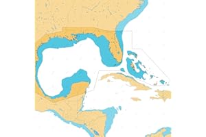 C-MAP Reveal Coastal - Gulf of Mexico and The Bahamas, Map Card for Marine GPS Navigation