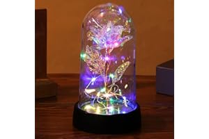 BAOXUE Rose Flower Gifts for Women,Galaxy Rose in Glass Dome,Lighted Eternal Flower,Forever Rose,Mom Womens Gifts for Christmas-Valentines Day Gifts for Her