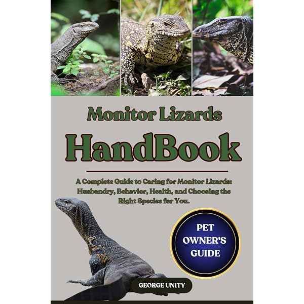 Monitor Lizards As Pets. Monitor Lizard Comprehensive Owner's