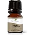 Plant Therapy Sandalwood Indian Essential Oil 2.5 mL (1/12 oz) 100% Pure, Undiluted, Therapeutic Grade