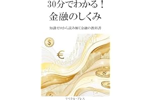 Understand in 30 Minutes How Finance Works: A Finance Textbook for Absolute Beginners (Japanese Edition)