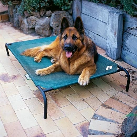 amazon coolaroo dog bed
