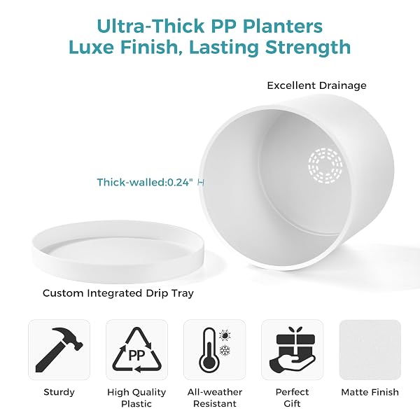 FAITHLAND 8-INCH MODERN CYLINDER PLANTER, THICK-WALLED PLASTIC PLANT POT WITH DRAINAGE HOLES AND DETACHABLE SAUCER, MATTE WHITE, IDEAL FOR INDOOR & OUTDOOR PLANTS FLOWERS