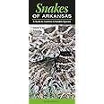 Snakes of Arkansas: A Guide to Common and Notable Species (Guide to Common & Notable Species)