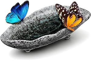 SHINEOFI Outdoor Ceramic Butterfly Feeder Tray Green Shell Garden Water Dish for Bees and Birds Smooth