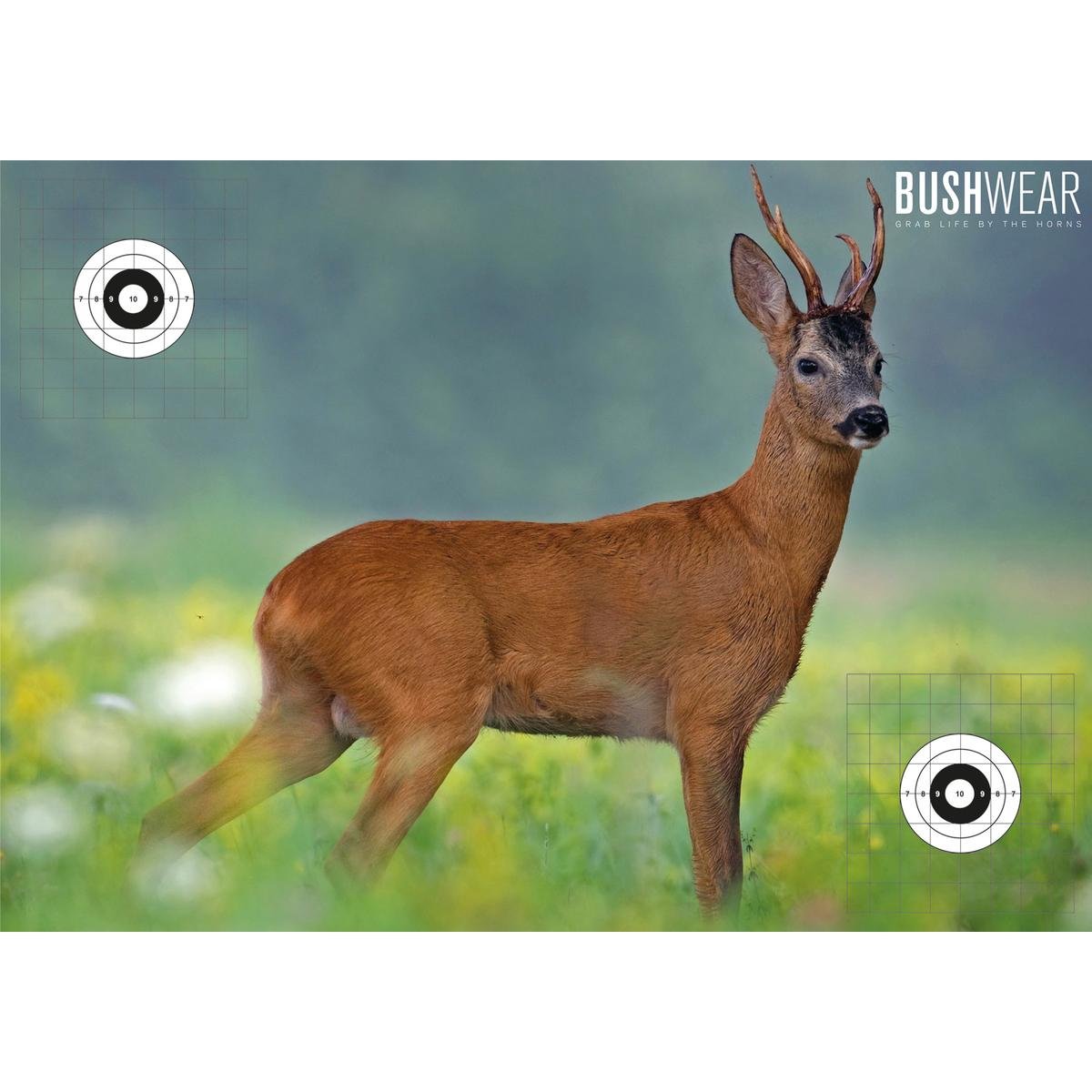 BushWear 4 Pack Double Sided Roe Target - Multicoloured and Realistic Targets for Hunting and Shooting Practice