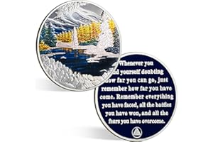 CHURYUML Sobriety Coin Gift Set with Capsule, Display & Card| Winter Landscape Sobriety Chip Non-Religious AA Coins Recovery Medallions Sober Token Sobriety Gifts for Men and Women Celebrating Sober