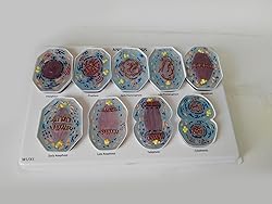 Teaching Model Tools,Cell Enlargement of 10,000X