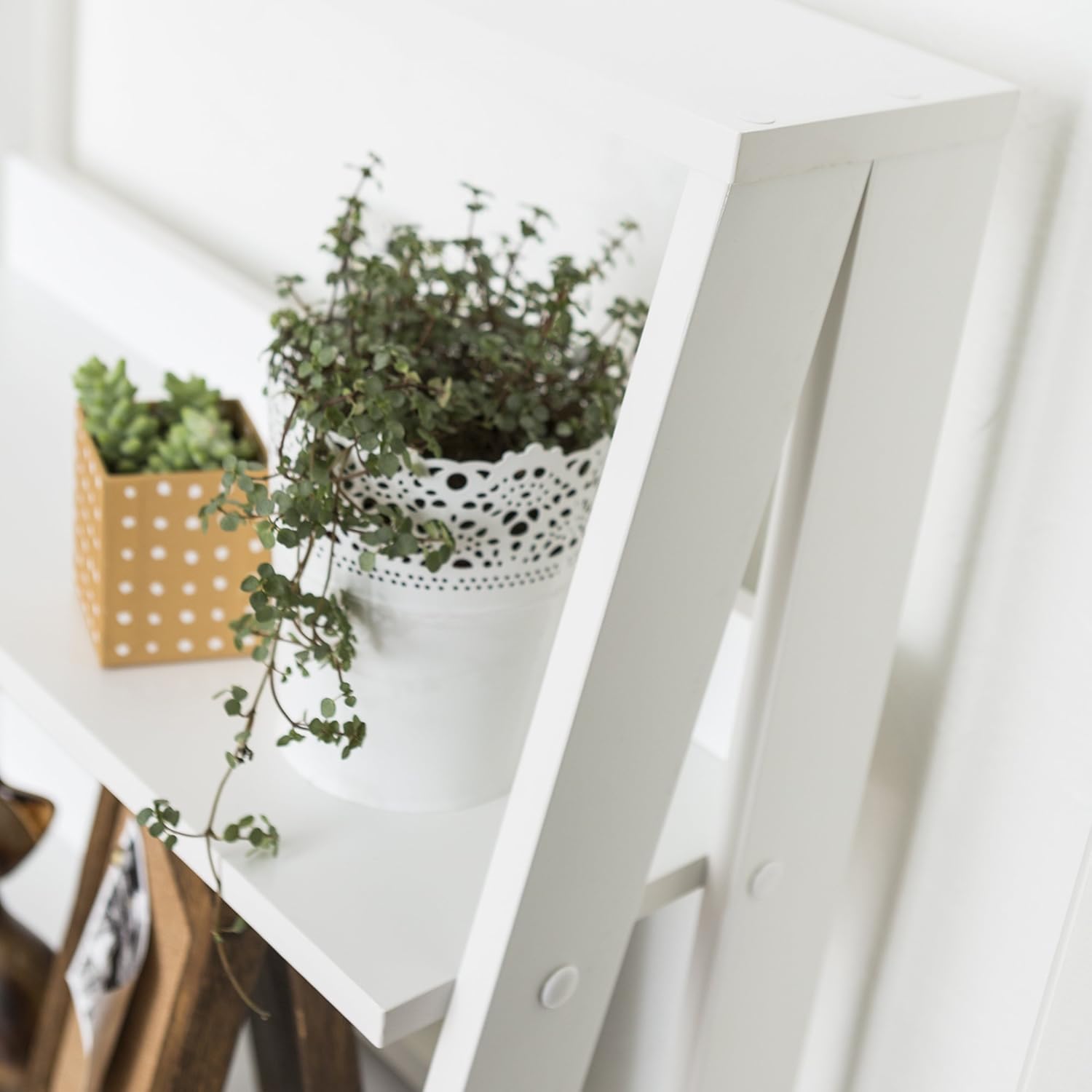 Walker Edison 4 Shelf Simple Modern Wood Ladder BookcaseTall Bookshelf Storage Home Office White55 Inch: Furniture & Decor