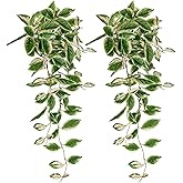 DILATATA Fake Hanging Plants Artificial Hanging Plants 26" Faux Peperomia Hanging Leaves Plants for Wall Shelf Home Indoor Outdoor Decor - 2 Pack