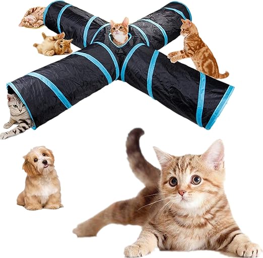 toy goldendoodle rescue