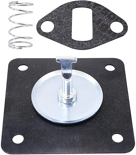 Amazon.com: Fremnily 230675 Fuel Pump Rebuild Kit with