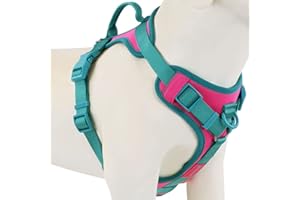 Wolfone No Pull Dog Harness Adjustable Soft Padded Pet Vest with Control Handle Adorable Daily Harness for Dogs（Pink Peacock 
