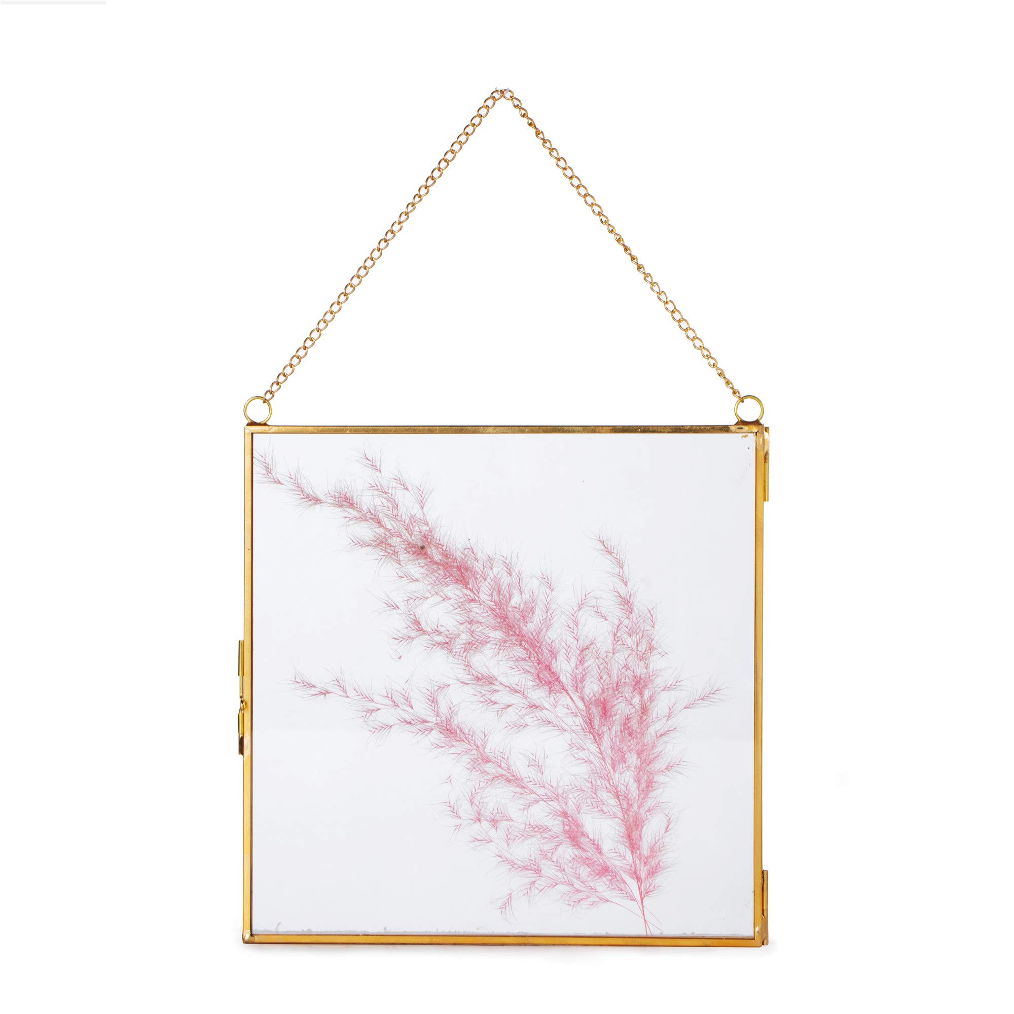 NCYP Wall Hanging Brass Glass Photo Frame, Modern Vertical Decor Holder for Display Artwork Card, Picture, Plant Specimen, Dried Flowers, 20.3x20.3cm, Glass Frame Only