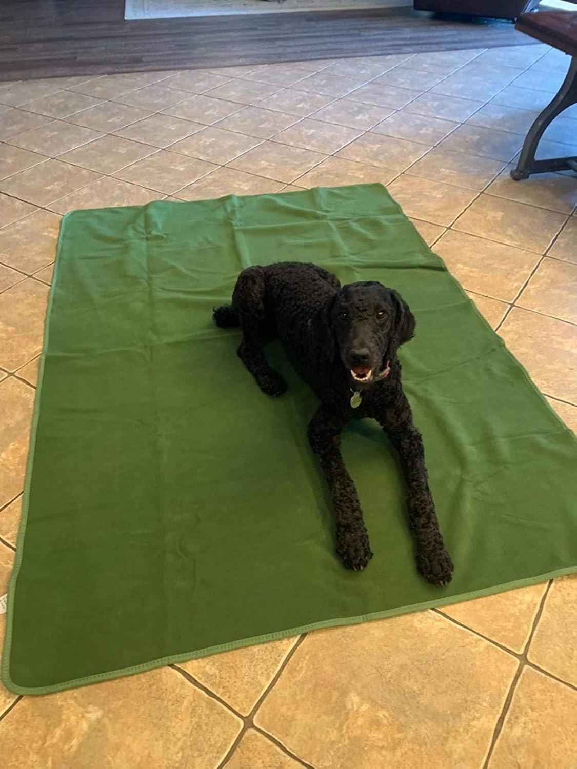 ULIGOTA Washable Dog Training Pad Extra Large 165cm x 121cm Reusable Green Puppy Pee Pad for Playpen Mat & Whelping Mat - Image 4
