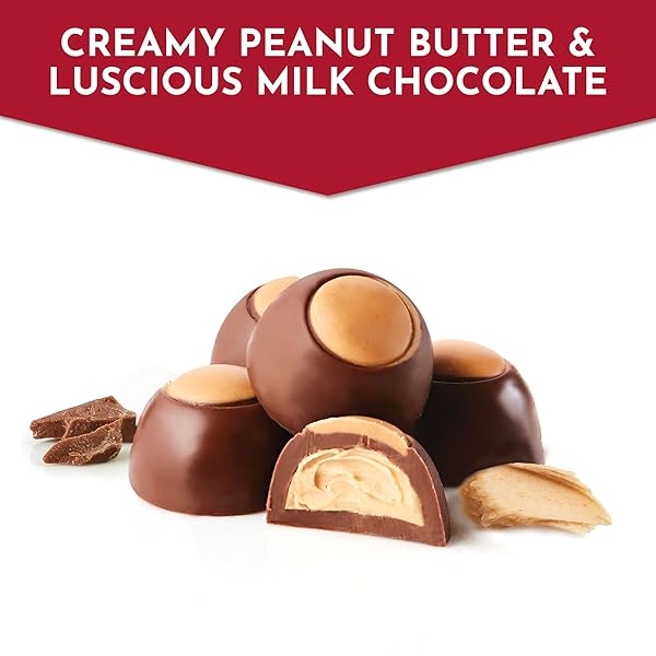 FANNIE MAY, MILK CHOCOLATE CANDY, PEANUT BUTTER TRUFFLES, GIFT BOX, 11 OZ