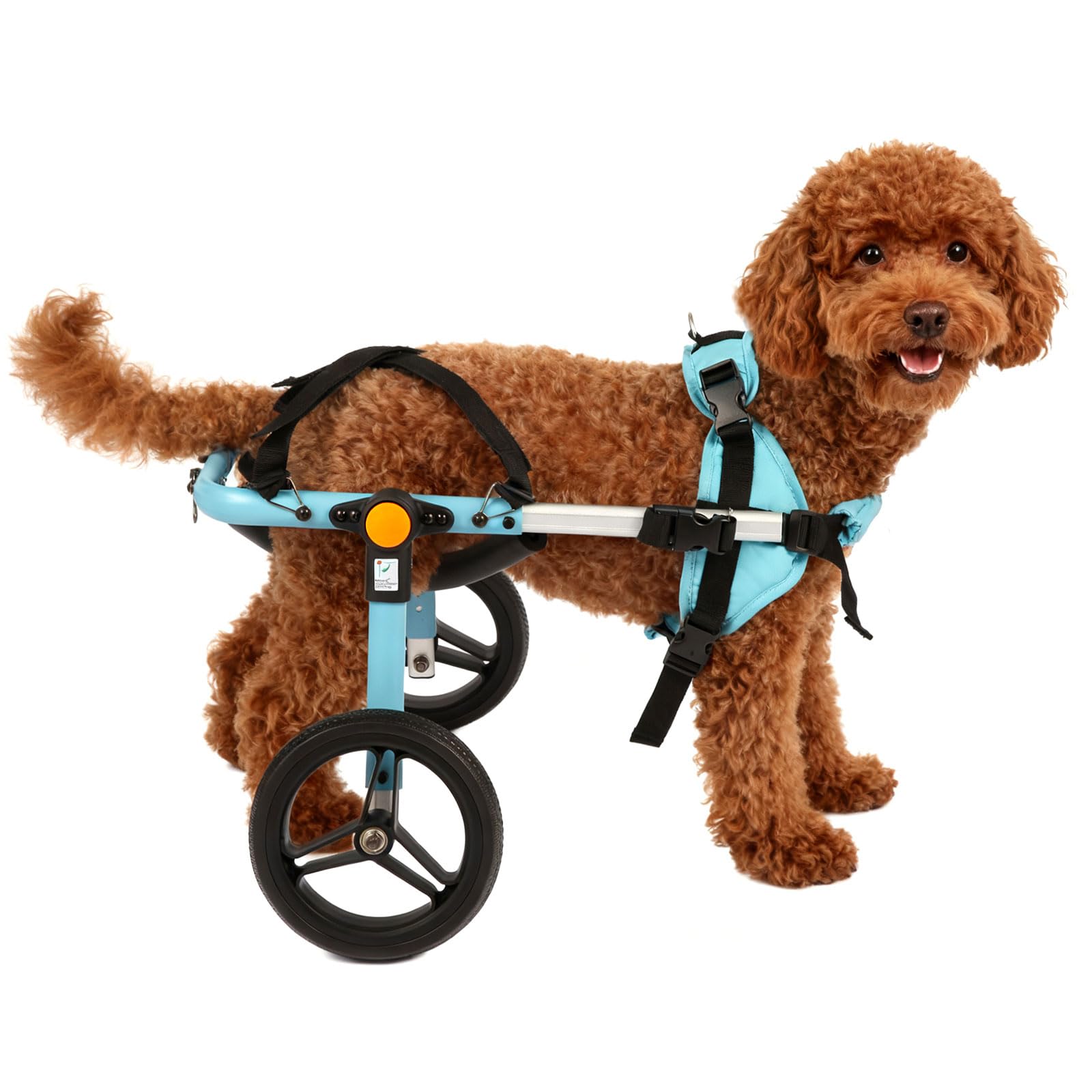 Photo 1 of TailWaggers Small Dog Wheelchair for Back Legs | Adjustable Mobility Aid | All-Terrain Wheels| for Pets That fit a Teddy Dog's Size