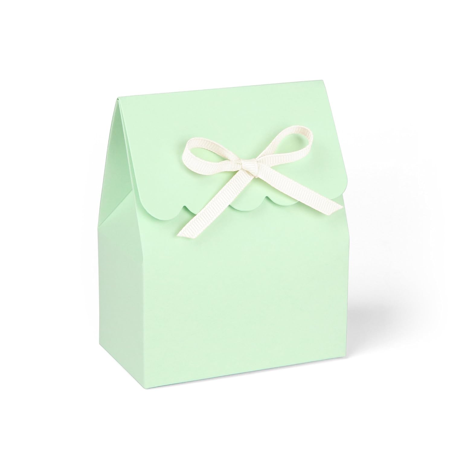 Mint Green Favor Boxes with Ivory Grosgrain Ribbon//set of