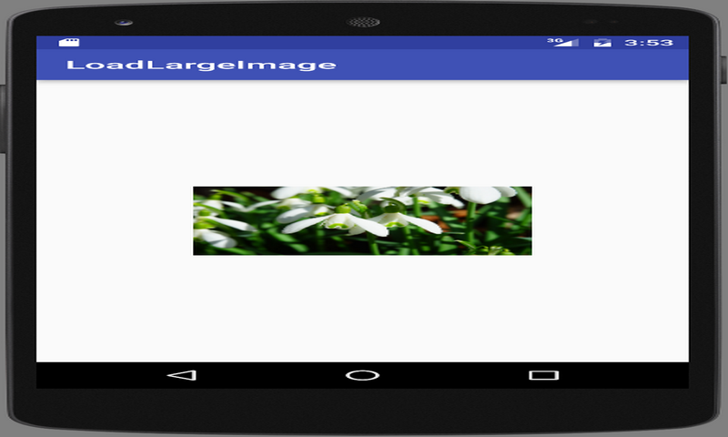 Vegsfblog - //medicalbooks.filipinodoctors.org