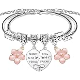 Funny Gifts for Best Friend Bracelets for 2 Pcs Friendship Matching Bracelets for Best Friend Jewelry Funny Friendship Gifts for Women Besties Friends Sisters Christmas Birthday Thanksgiving Presents