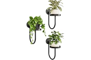 Bamworld Hanging Planters for Indoor Plants Wall Plant Holder Plant Hanger Indoor Wall Planters Window Plant Shelves Hanging Plant Holder Window Plant Hanger Plant Decor Black 3pcs